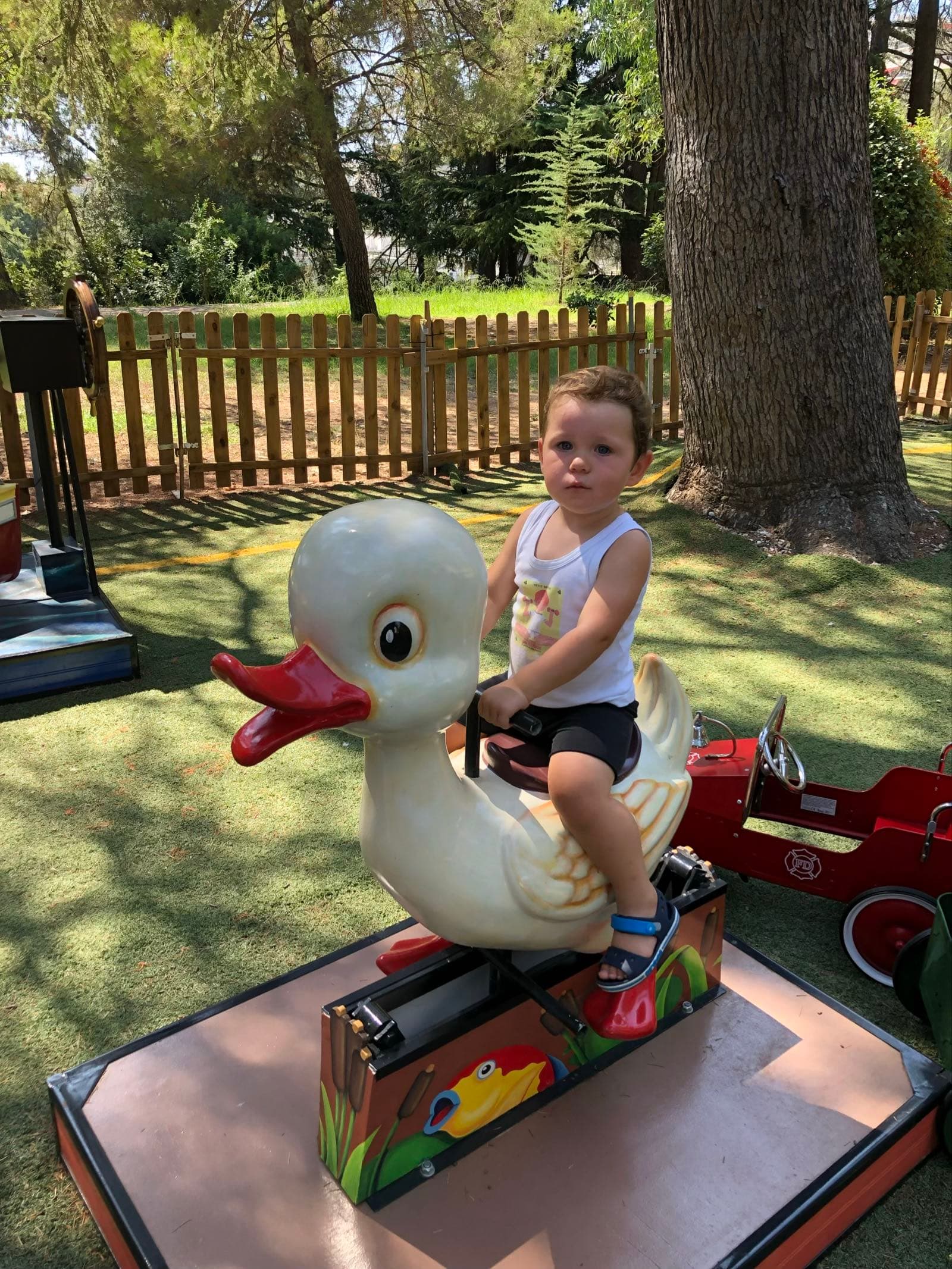 "The Duck" Spring-Loaded Toy – 1-Seater – Fun and Sturdy Design